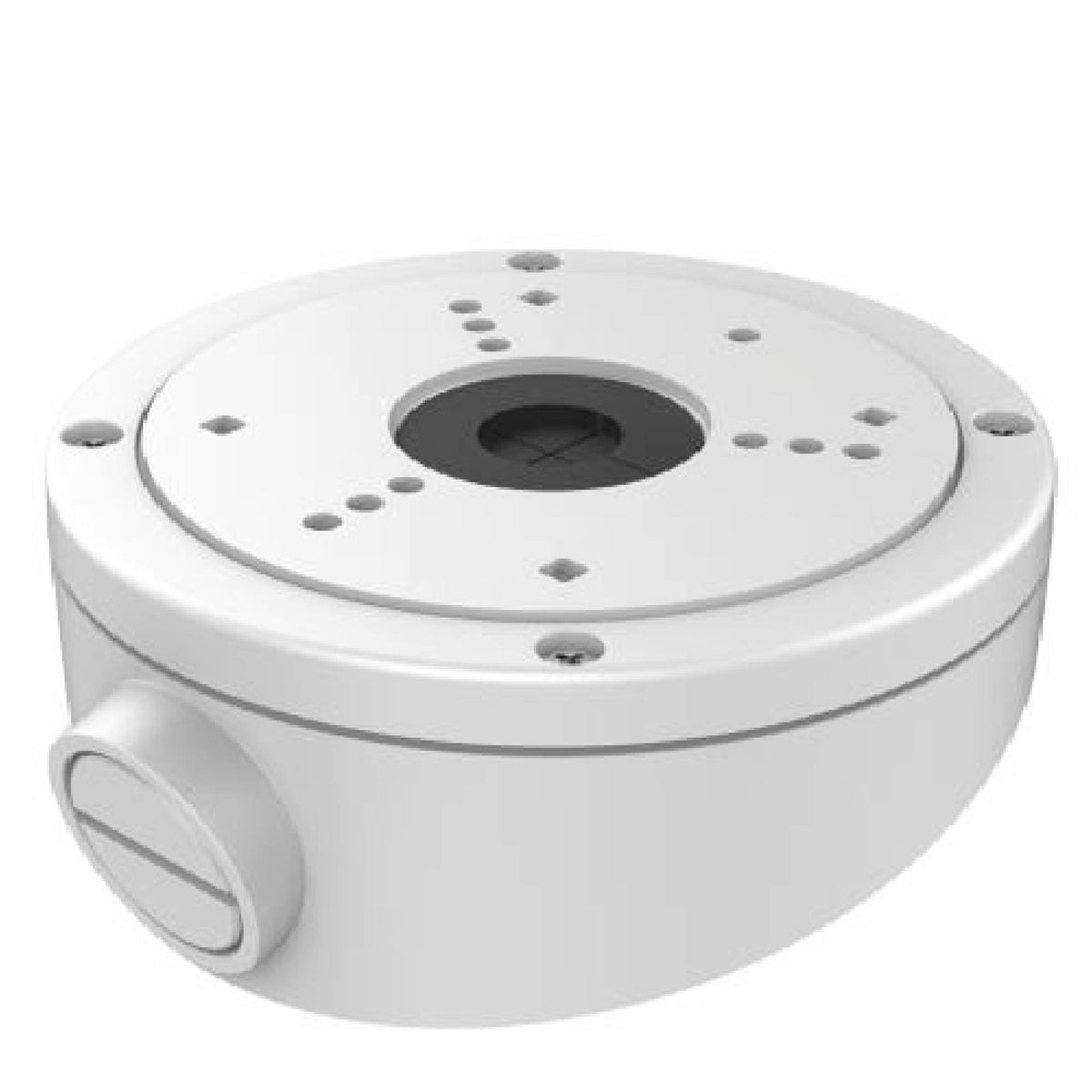 Inclined ceiling mount-DS-1281ZJ-S