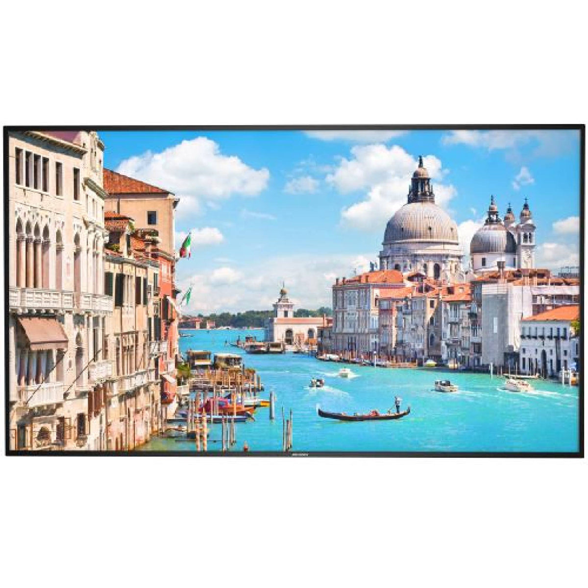 42.5-inch 4K Monitor-DS-D5043UC