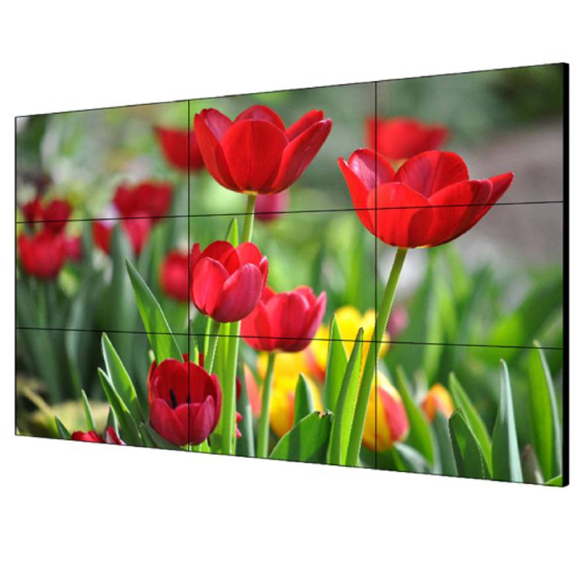 49-inch 3.5mm LCD Display Unit-DS-D2049LU-Y