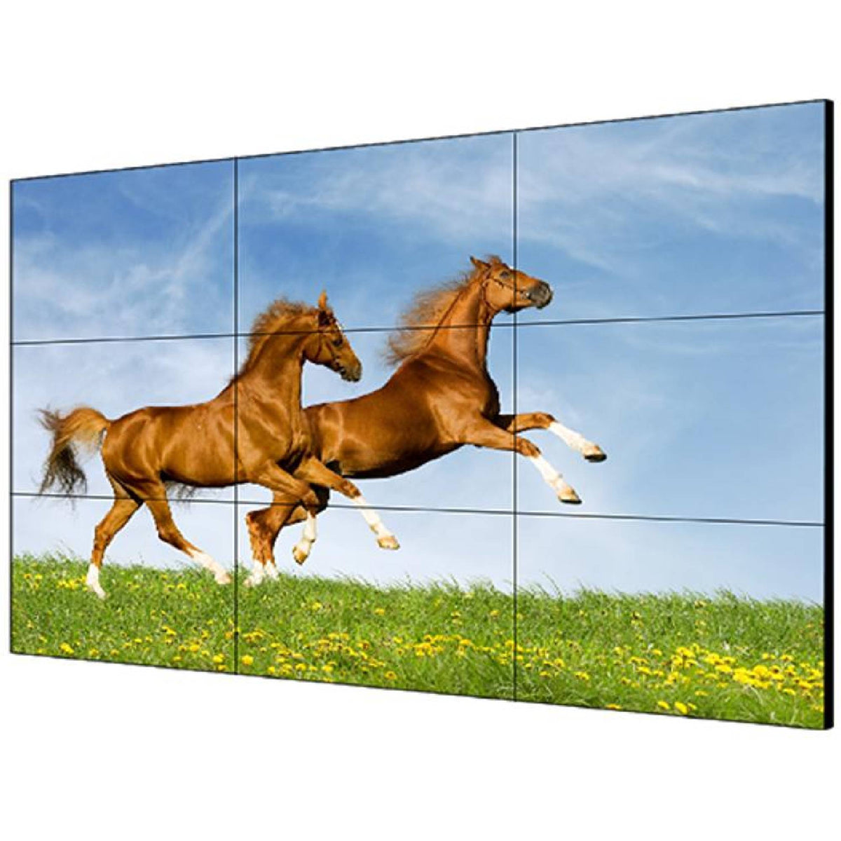 46 inch 2.5mm LCD Display Unit-DS-D2046TL-1B